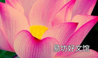 野生宝莲灯与人工宝莲灯区别 野生宝莲灯与人工宝莲灯区别图片