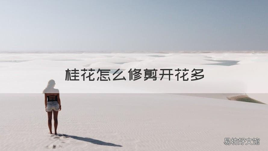 桂花怎么修剪开花多 桂花可以修剪枝梢吗