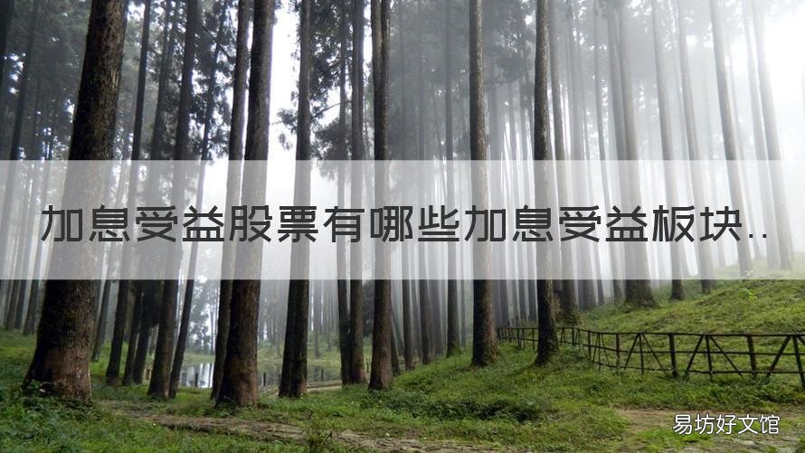 加息受益股票有哪些加息受益板块 加息受益最大的股票