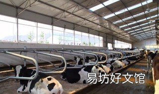 畜牧资产怎么入账 畜牧资产怎么入账科目