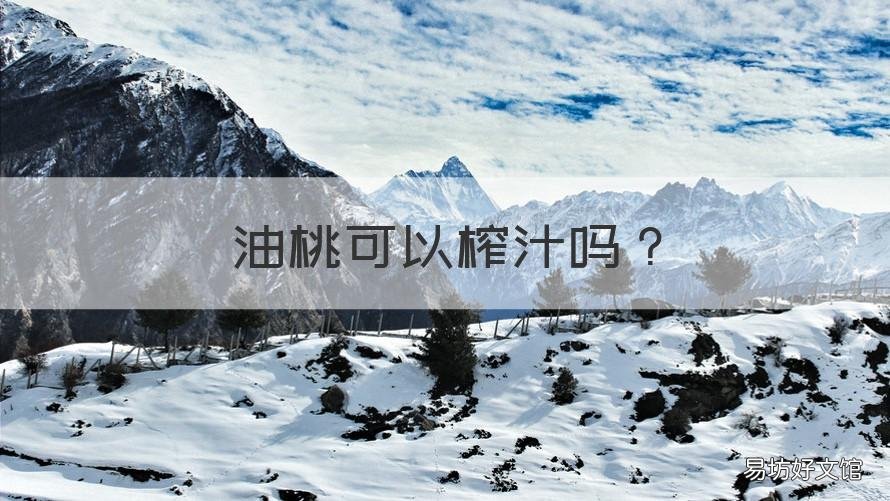 油桃可以榨汁吗 油桃能榨汁吗