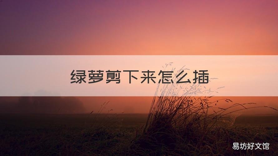 绿萝剪下来怎么插 绿萝剪短能直接插吗