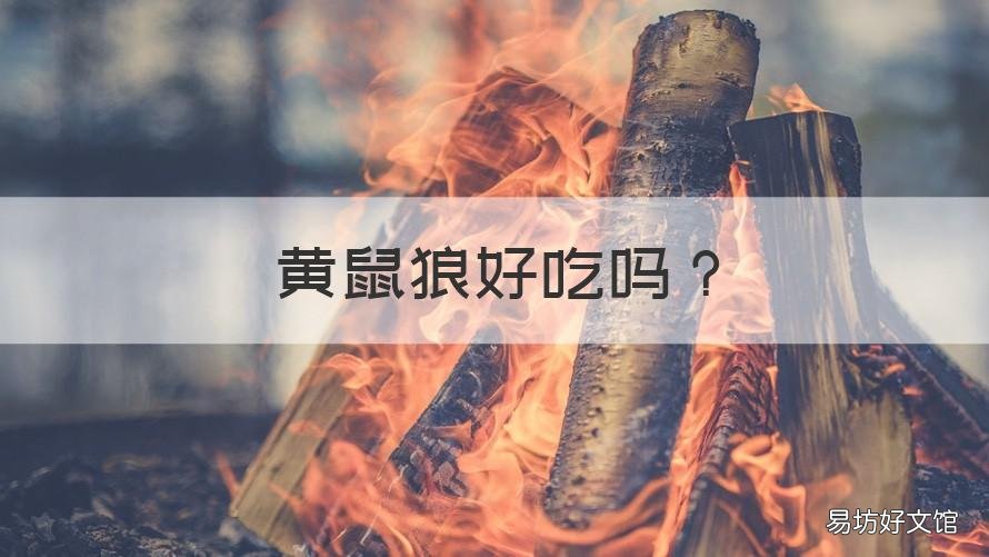 黄鼠狼好吃吗