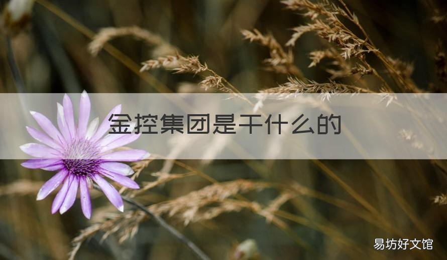 金控集团是干什么的 金控集团是哪里的