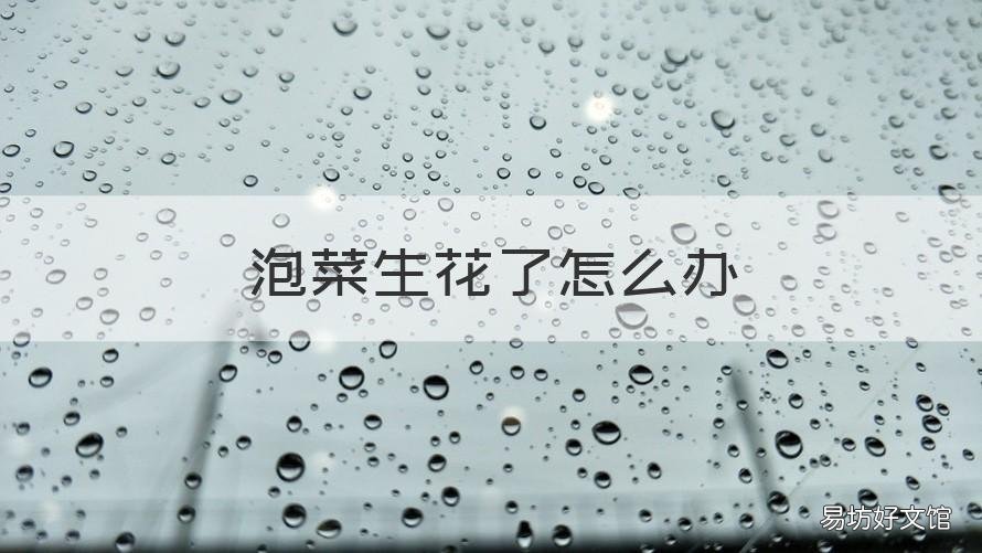 泡菜生花了怎么办 泡菜生花怎么办 百度网盘