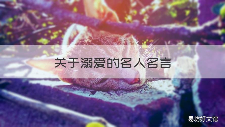 关于溺爱的名人名言 关于溺爱的名言警句快