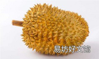 一块榴莲的热量相当于几碗饭 一小块榴莲的热量相当于几碗饭