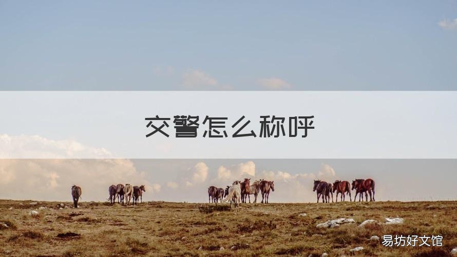 交警怎么称呼 交警怎么称呼好