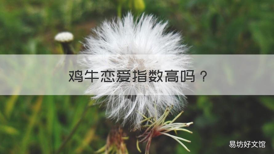雞牛戀愛指數(shù)高嗎 屬牛男的真正戀愛模式