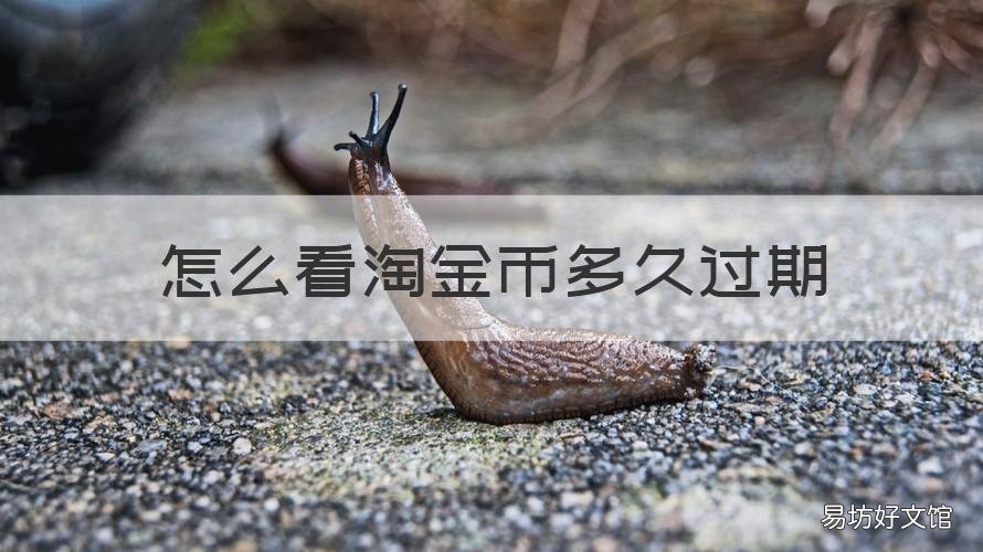 怎么看淘金币多久过期 怎样知道淘金币还有多久过期
