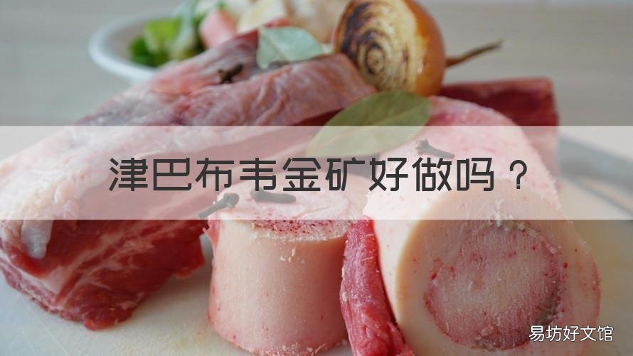 津巴布韦金矿好做吗 津巴布韦有金矿合作吗