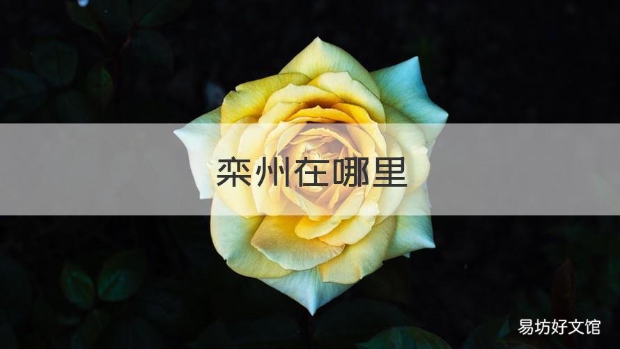 栾州在哪里 栾川在那个地方