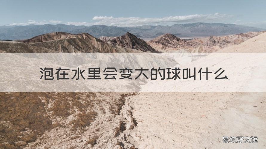 泡在水里會變大的球叫什么 泡在水里變大的球球叫什么名字