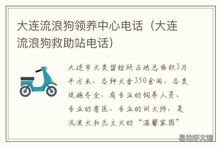 大連流浪狗領(lǐng)養(yǎng)中心電話 大連市流浪狗救助站