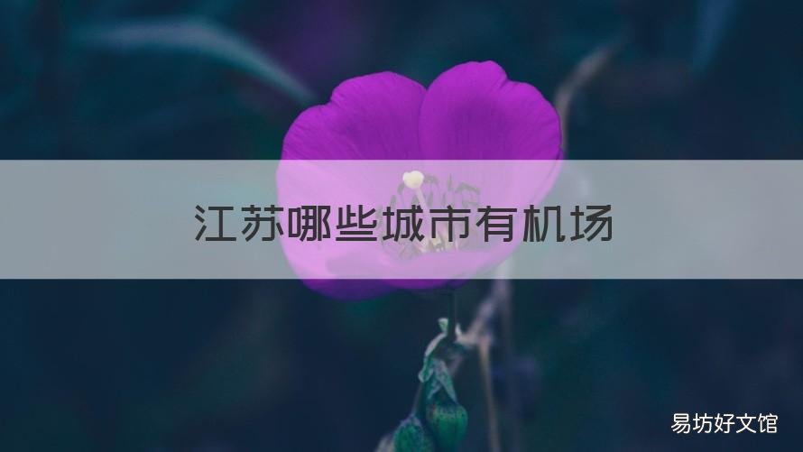 江苏哪些城市有机场 江苏哪些城市有机场和高铁