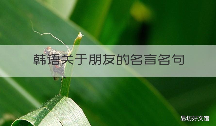韩语关于朋友的名言名句 韩语名人名言