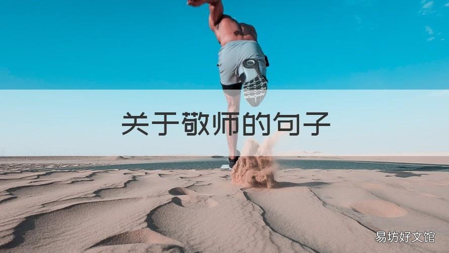 关于敬师的句子 尊师敬师的句子