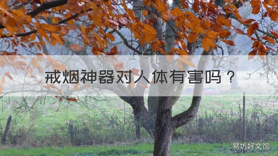 戒烟神器对人体有害吗 戒烟神器对人体有害吗知乎