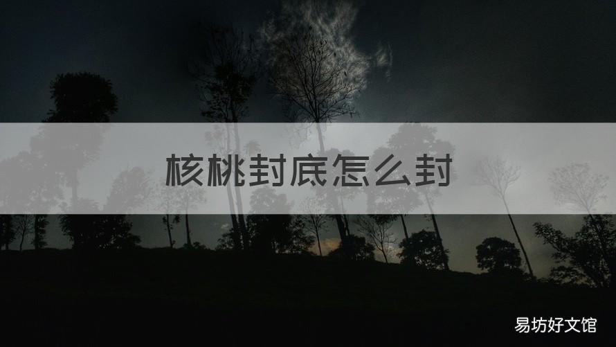 核桃封底怎么封 核桃用松石封底怎么封