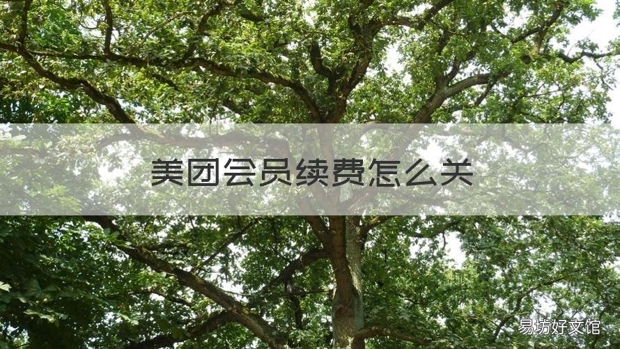 美团会员续费怎么关 美团怎么关闭会员续费