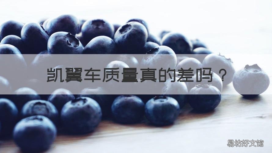凯翼车质量真的差吗 凯翼汽车怎么样质量