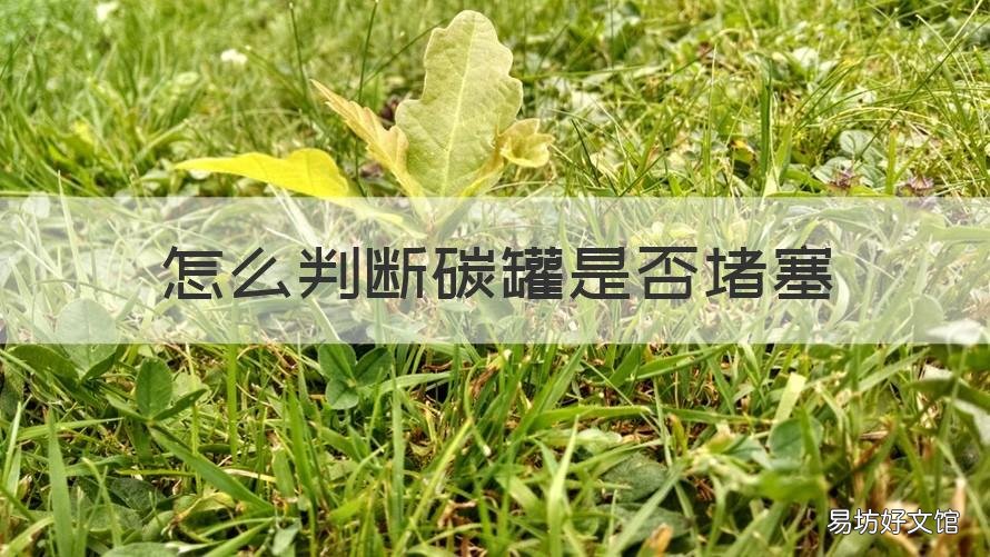 怎么判断碳罐是否堵塞 怎么判断碳罐是否堵塞报什么故障
