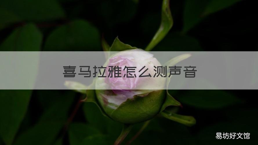 喜马拉雅怎么测声音 喜马拉雅怎么测声音年龄2020