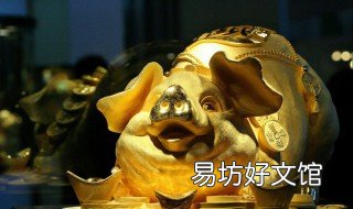 属猪几月出生最好 女孩属猪几月出生最好