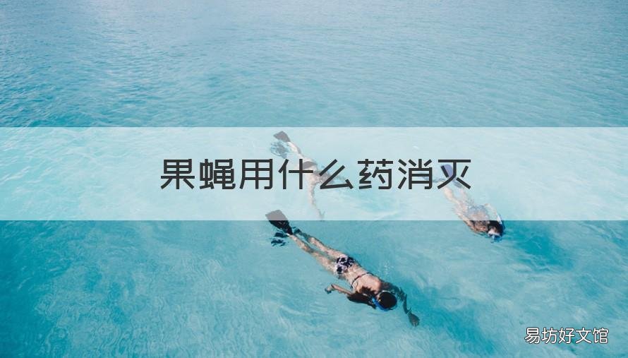 果蝇用什么药消灭 灭果蝇的药