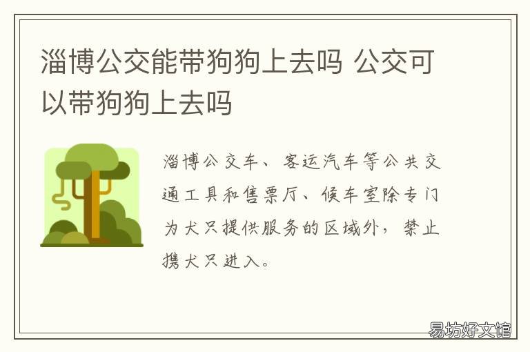 淄博公交能带狗狗上去吗 淄博可以带狗狗玩的地方