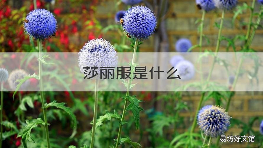 莎丽服是什么 丽莎丽莎女装