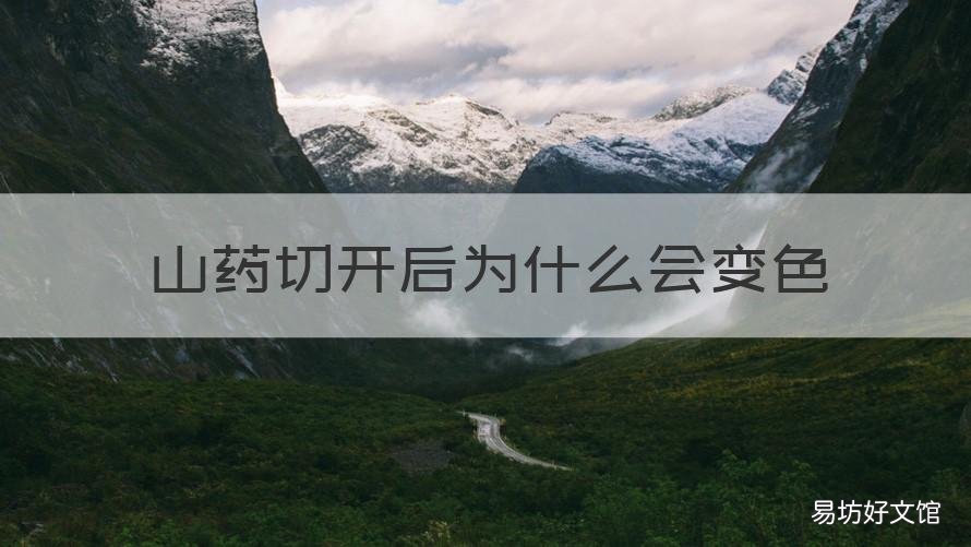 山药切开后为什么会变色 山药切完会变色吗