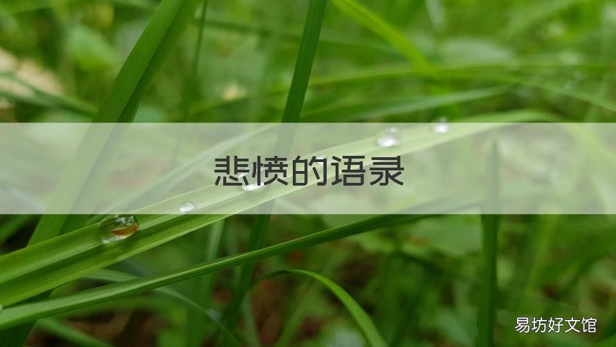 悲愤的语录 悲愤诗经典名句