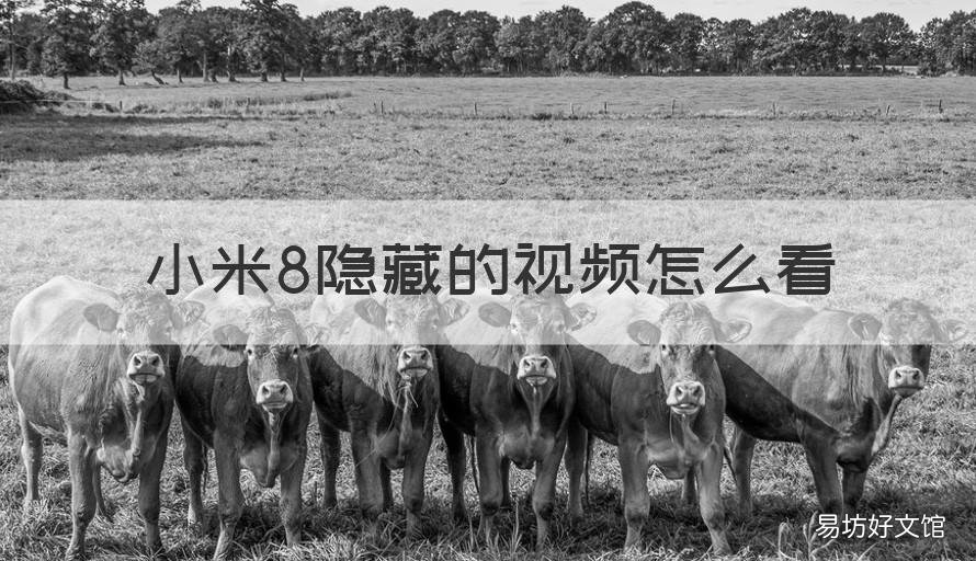 小米8隐藏的视频怎么看 小米的隐藏视频在哪里可以看到