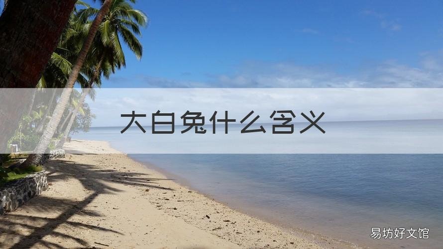 大白兔什么含义 大白兔特殊含义