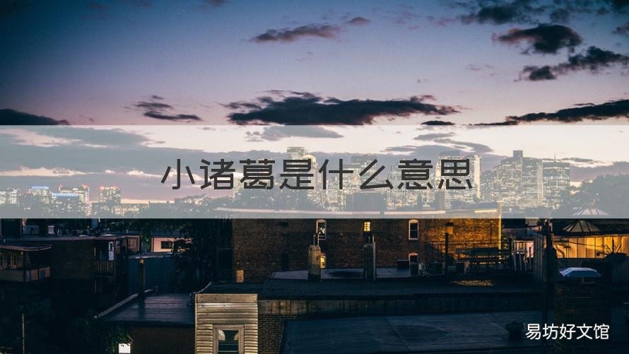 小诸葛是什么意思 小诸葛是什么意思?