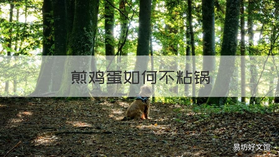 煎鸡蛋如何不粘锅 煎鸡蛋不粘锅大火