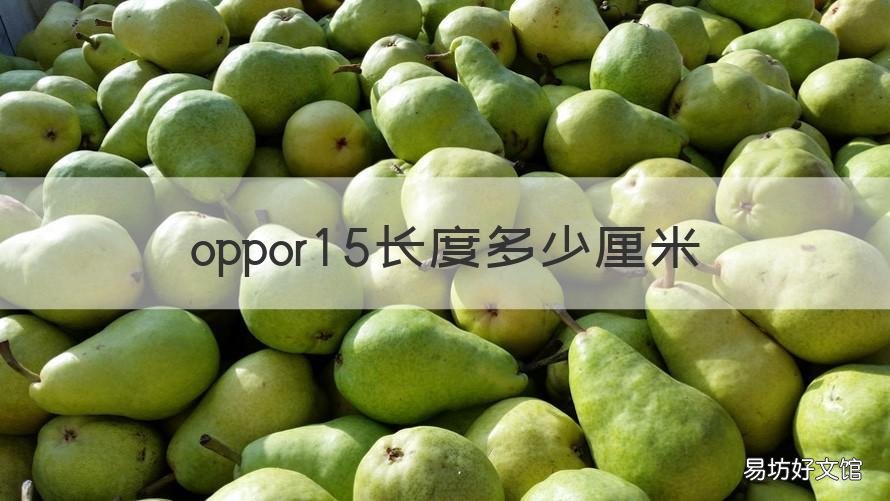 oppor15长度多少厘米 oppor15有多长厘米