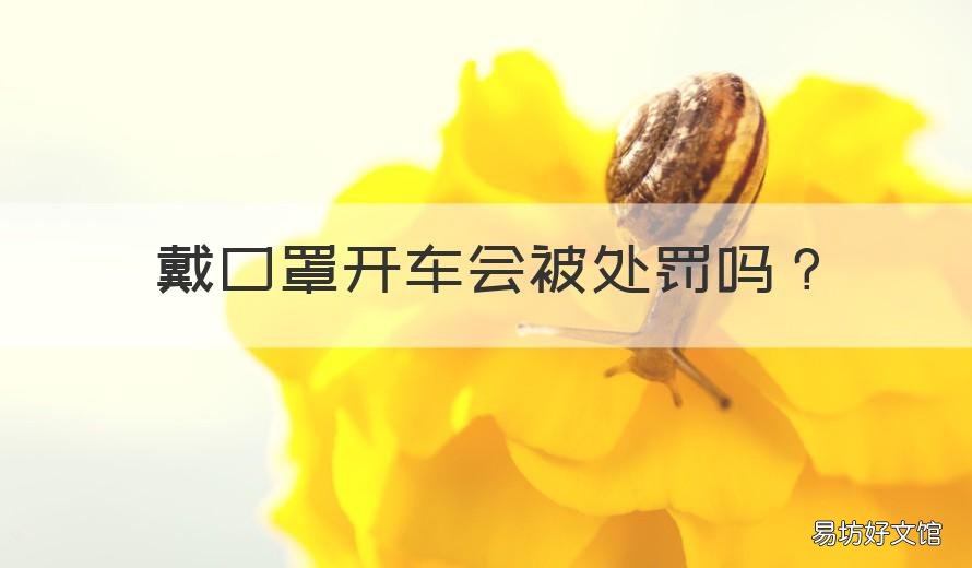 戴口罩开车会被处罚吗 不戴口罩开车罚款吗