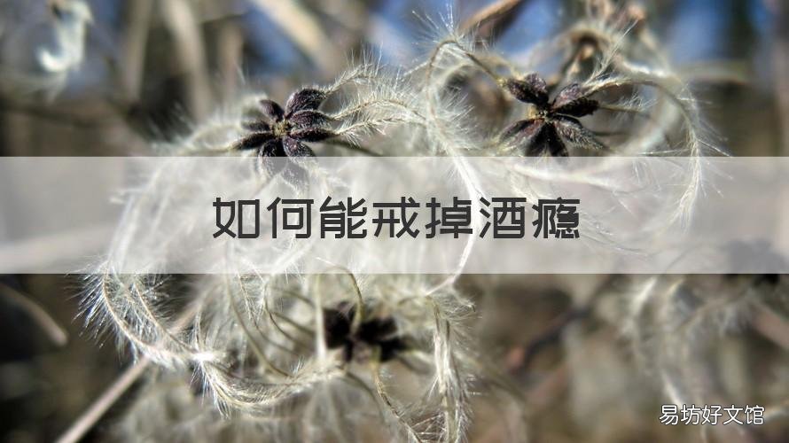 如何能戒掉酒瘾 怎么戒掉酒瘾