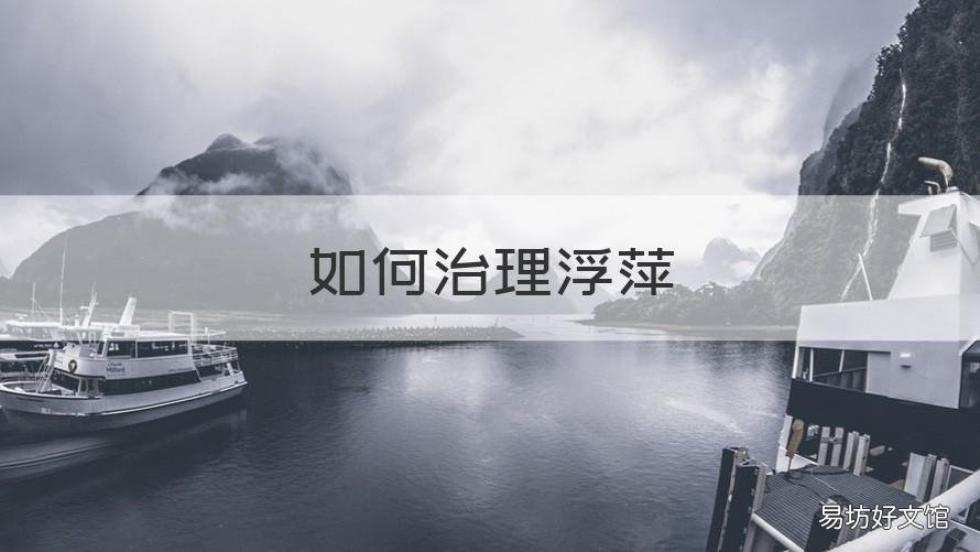 如何治理浮萍 浮萍怎么防治