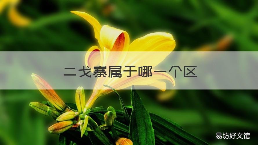 二戈寨屬于哪一個區(qū) 二戈寨地圖