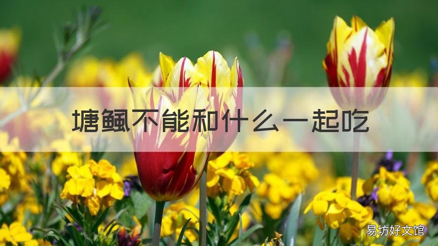 塘鲺不能和什么一起吃 塘好菜不能和什么一起吃