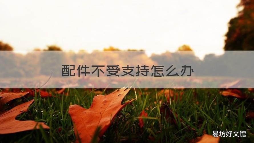 配件不受支持怎么办 ipad配件不受支持怎么办