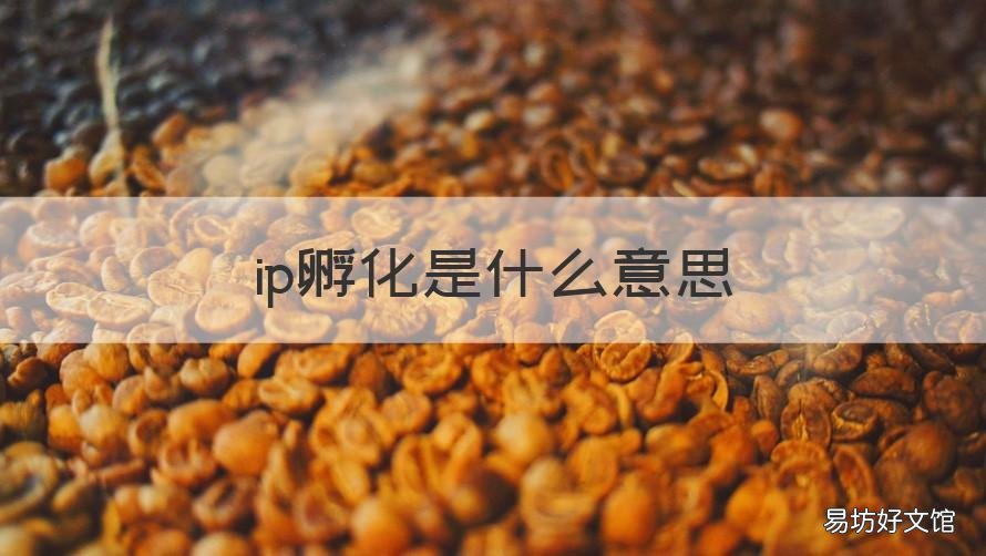 ip孵化是什么意思 短视频ip孵化是什么意思