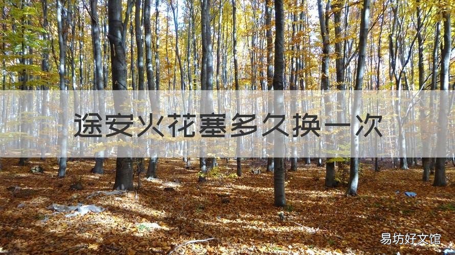 途安火花塞多久换一次 途安火花塞用了12万公里