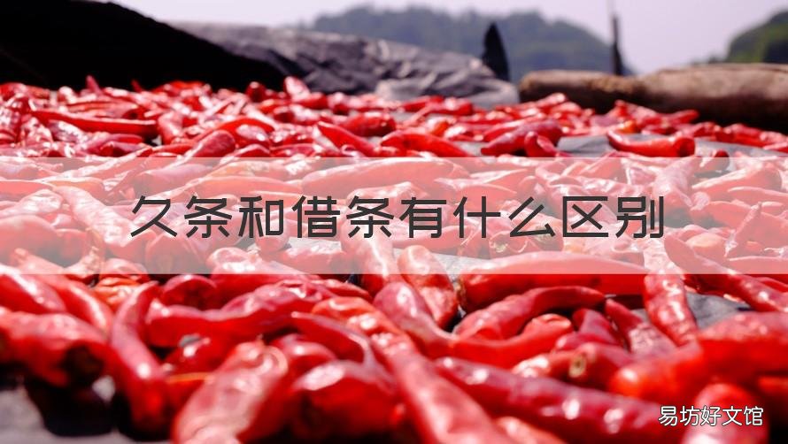 久条和借条有什么区别 久条与借条的区别