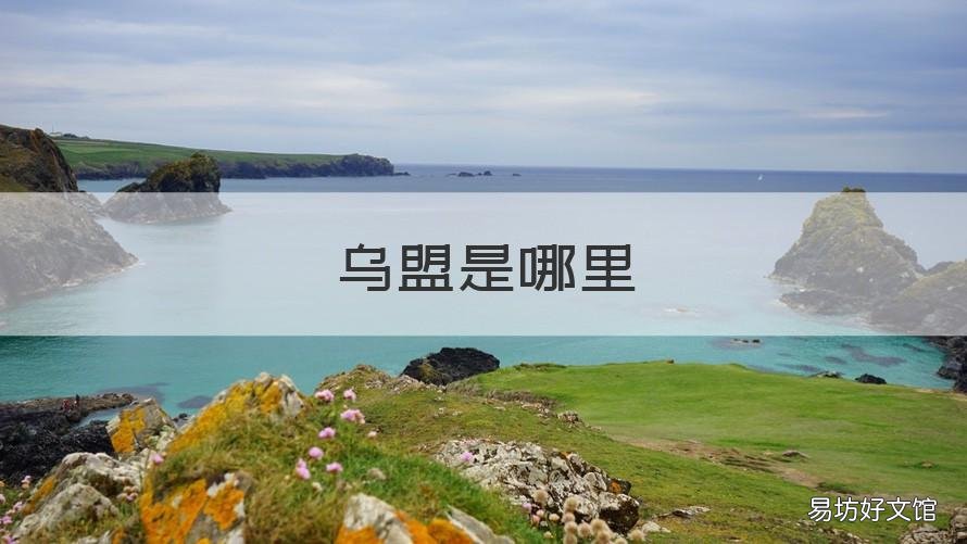 乌盟是哪里 乌盟哪里有燃料生物殖注剂