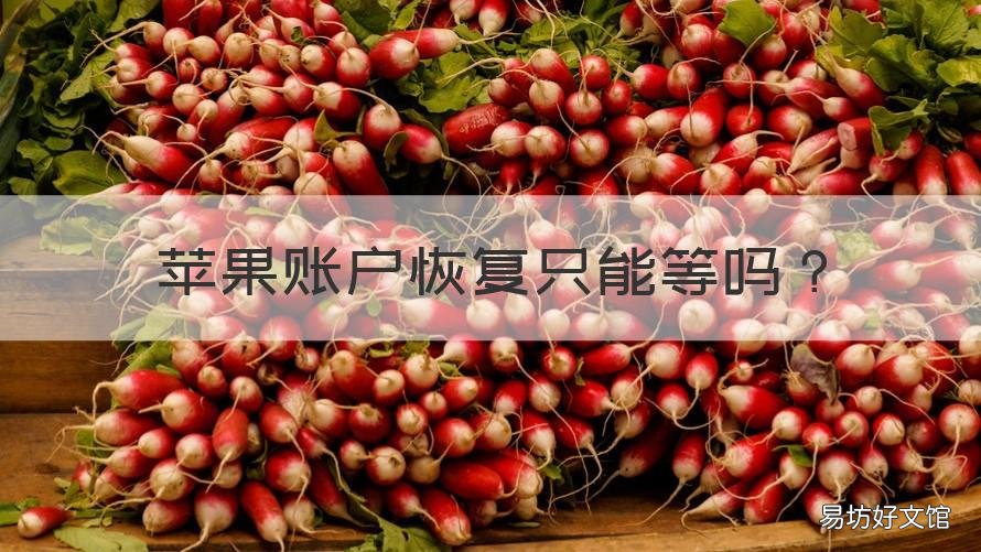 苹果账户恢复只能等吗 苹果账户恢复只能等吗可以直接刷机吗