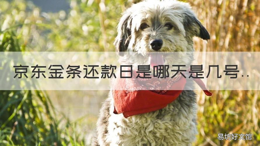 京东金条还款日是哪天是几号 京东金条还款日是哪天是几号啊